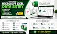 do microsoft excel data entry, PDF to excel, data cleaning and formatting