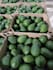 source premium avocados, macadamia nuts, and flowers from kenya