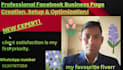 create, professional fb business page creation and optimize