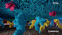 create 3d medical animation immunotherapy moa and pharmaceutical animation