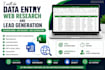 do data entry, web research, copy paste and excel data entry