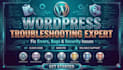 resolve complex wordpress errors