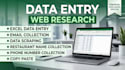 excel data entry and data collection