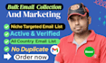 do bulk email collection for targeted email marketing