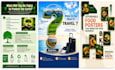 create eye catching flyer and brochure design