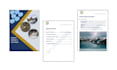 format microsoft word documents professionally