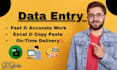 do data entry copy paste work web research and excel data entry