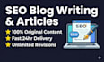 write SEO blog posts and articles for your website