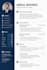 professionally edit and design your ats friendly resume CV