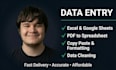 do data entry, copy paste, PDF conversion, and excel formatting