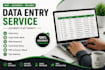professional data entry services