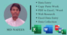 do professional data entry, web research and copy paste