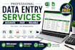 do accurate data entry, excel data entry, copy paste and web research