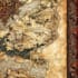 detailed hand drawn fantasy map illustration custom map