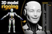 make body rig and facial blend shapes for your character