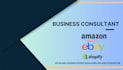 business strategy consultant developer manager