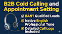 do professional b2b and b2c appointment setting and sales closing