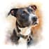 draw a cartoon pet portrait from photo
