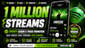 do spotify music promotion, music promotion