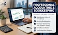 provide accounting services etc