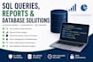 write sql queries, reports, and database analysis