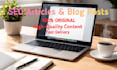 write high quality SEO blog and articles