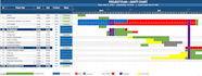 do project management assignments and make gantt chart in excel