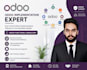 provide expert odoo consultation and implementation