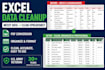 clean and format your excel or business data
