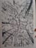 draw a custom landscape and nature illustration