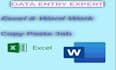 do data entry and typing work