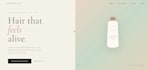 build a react website with node,js and express,js backend