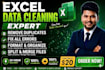 clean, format, and organize your messy excel or CSV data professionally