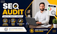 do professional SEO audit and website analysis