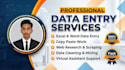 do fast, accurate data entry and excel or google sheet work