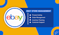 professionally manage your ebay business