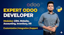 develop custom odoo modules and API integration