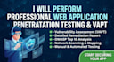 do professional web application penetration testing and vapt