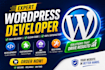 do wordpress development, customization, API integration and bug fixing
