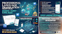 provide professional language translation in multiple languages