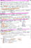 create professional medical notes, summaries, and study guides
