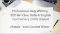 write SEO blog posts and articles in urdu