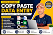 do fast copy paste, web research and data entry work