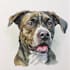 draw watercolor pet portrait