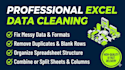 do excel data cleaning, data formatting and remove duplicates