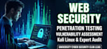 do web vulnerability assessment and penetration testing