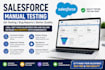 do salesforce CRM manual testing with bug reports