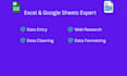 do expert data entry and google sheets darasheet