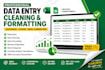 clean, format and organize excel or google sheets data