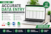 do accurate data entry, copy paste and excel data entry
